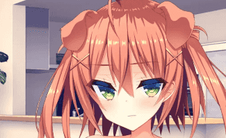 【ADV类型/AI汉化】如胶似漆双胞胎!关于很黏我的双胞胎妹妹们居然喜欢上了我这件事1.0.0【PC/1.4G】